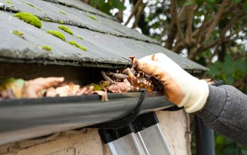 gutter cleaning Greenhead