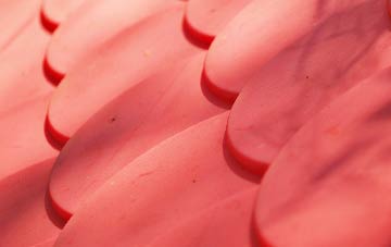 Greenhead plastic roof costs